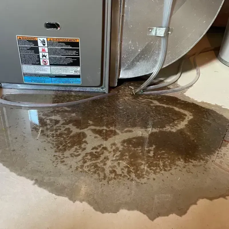 Appliance Leak Cleanup in Texanna, OK